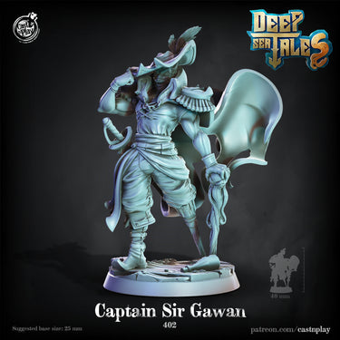 Captain Sir Gawain